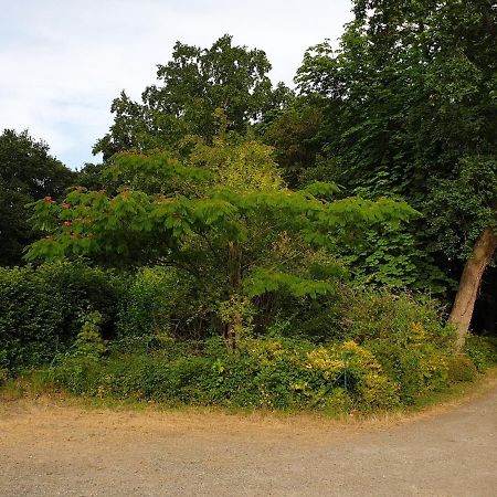 Logis Relais Des Cailleres Ξενοδοχείο Saint Pavace Εξωτερικό φωτογραφία